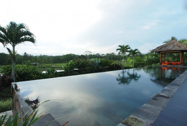 Rumah Lotus Villa - 2 Bedrooms Villa - Bali Villa Rentals in Gianyar