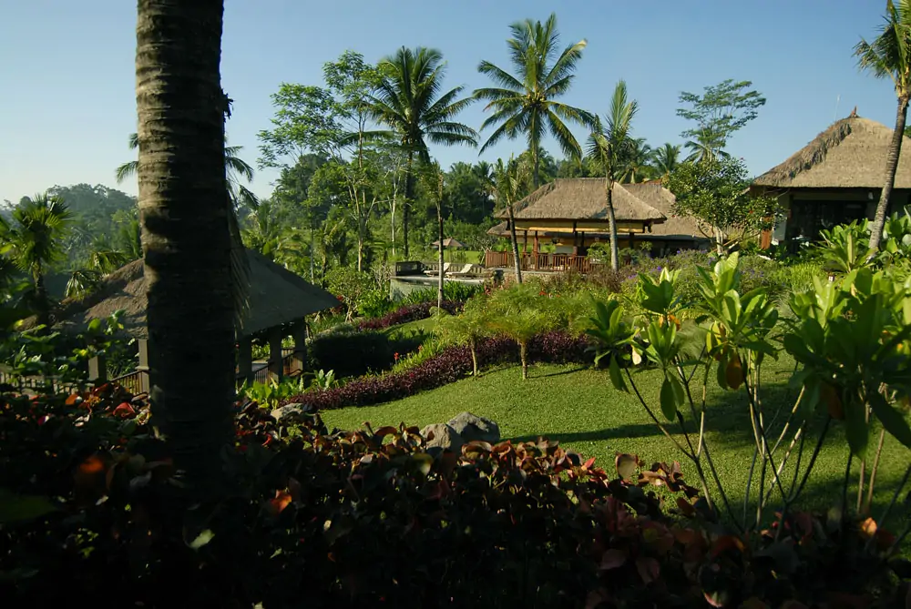 Garden - Villa Bayad, Ubud Bali