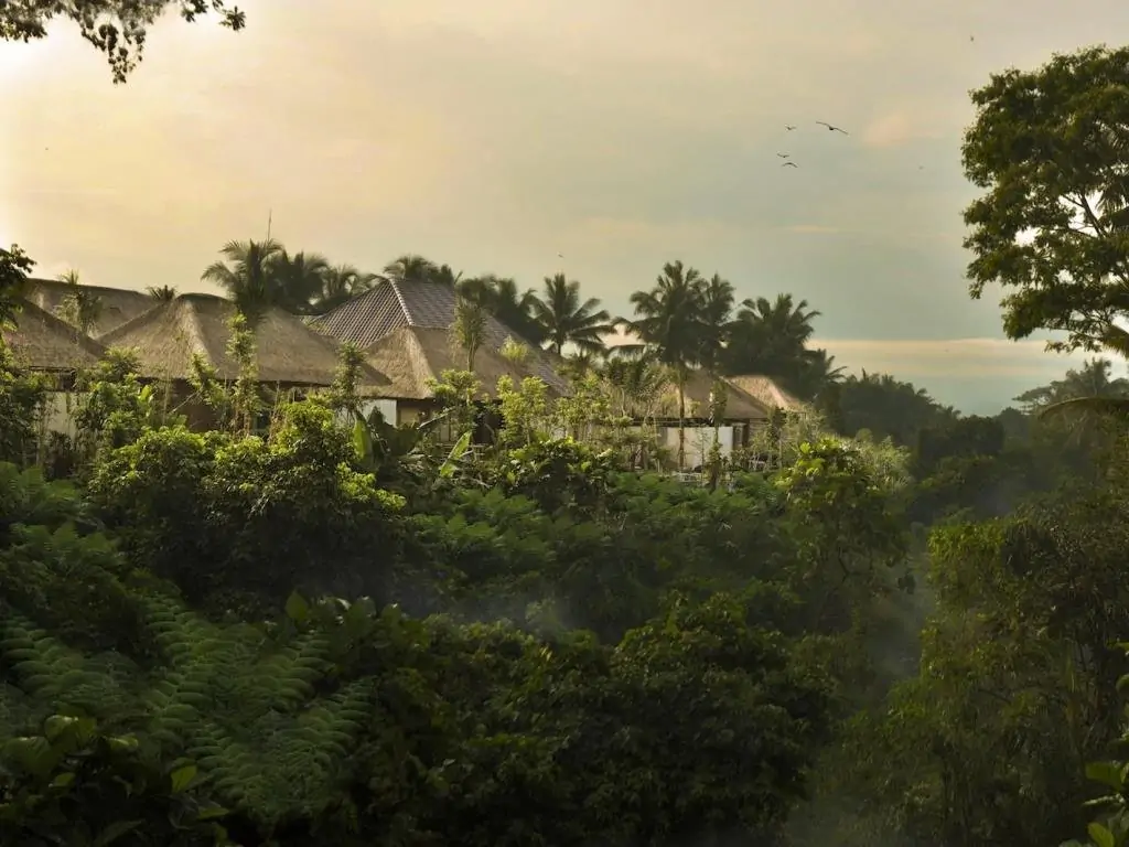 Luwak Ubud Villas - 3 Bedrooms Villa - Ubud Luxury Villa