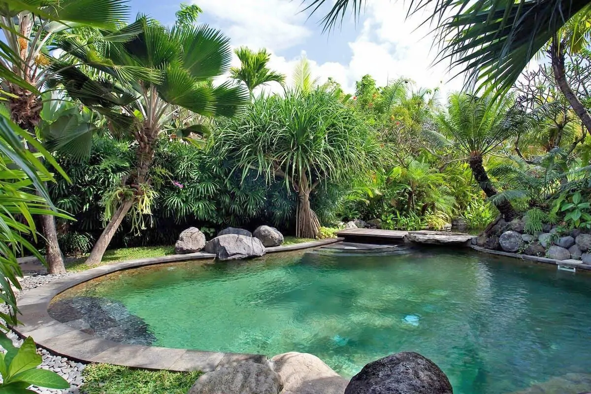 The Pool - Radha Villa, Canggu Bali